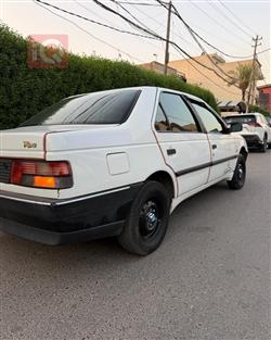 بيجو روا